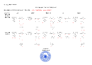 PROGRAM DIRECTOR